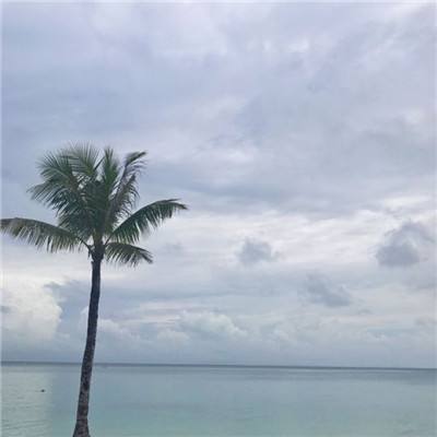 皇冠体育安卓app